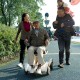 Silla de ruedas eléctrica del futuro