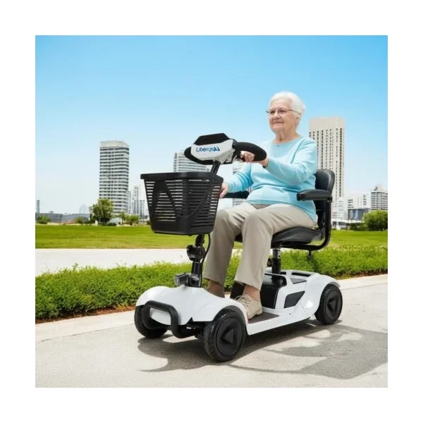 scooter eco – Veredicto final: ¿Cuál elegir?